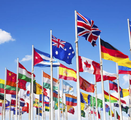 International Event Organizer